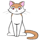 熊猫体育 主题配图
